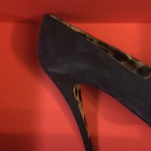 Meet your Posher, Darrell